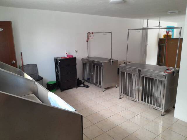 Local Comercial para Alquiler en Quito - 5