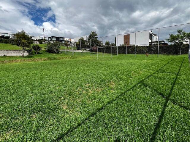 Terreno para Venta en Quito - 4