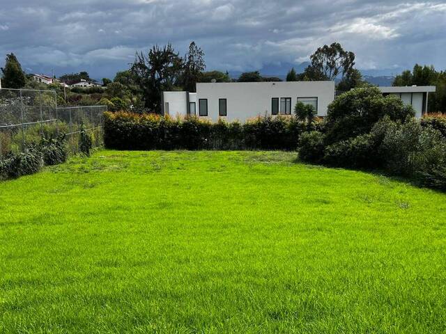 Venta en Puembo - Quito